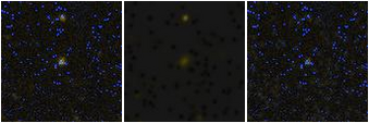 Missing file SDSSJ120935.64+653541.4-custom-montage-FUVNUV.png
