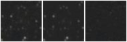 Missing file SDSSJ120935.64+653541.4-custom-montage-W1W2.png