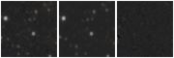 Missing file VFID6423-custom-montage-W1W2.png