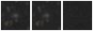 Missing file PGC038878-custom-montage-W1W2.png