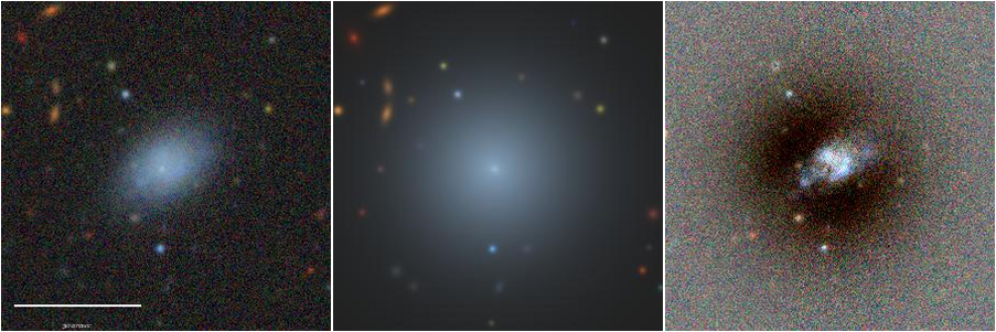 Missing file PGC039031-custom-montage-grz.png