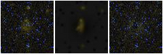 Missing file PGC039112-custom-montage-FUVNUV.png