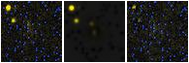 Missing file PGC039144-custom-montage-FUVNUV.png