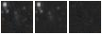 Missing file PGC039144-custom-montage-W1W2.png