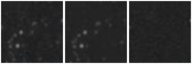 Missing file PGC1122171-custom-montage-W1W2.png
