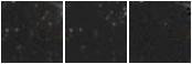 Missing file PGC3293713-custom-montage-W1W2.png