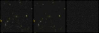Missing file EVCC0352-custom-montage-FUVNUV.png