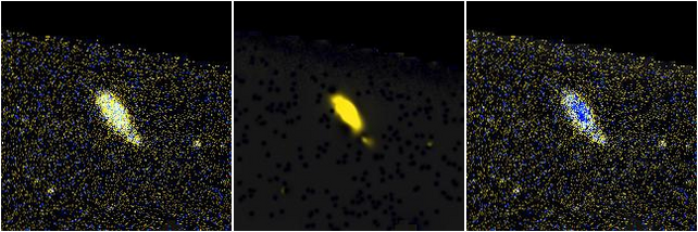 Missing file NGC4238-custom-montage-FUVNUV.png