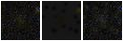 Missing file PGC039286-custom-montage-FUVNUV.png