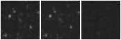 Missing file PGC039333-custom-montage-W1W2.png