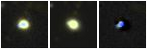 Missing file PGC039392-custom-montage-FUVNUV.png