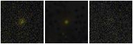 Missing file PGC039649-custom-montage-FUVNUV.png