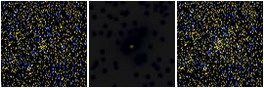 Missing file PGC1849931-custom-montage-FUVNUV.png