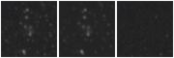 Missing file PGC2619398-custom-montage-W1W2.png