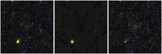 Missing file PGC2832110-custom-montage-FUVNUV.png
