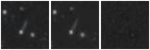 Missing file SDSSJ121727.85+071937.6-custom-montage-W1W2.png