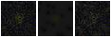 Missing file SDSSJ121917.10+053442.3-custom-montage-FUVNUV.png