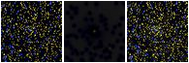 Missing file SDSSJ121935.46+290500.8-custom-montage-FUVNUV.png