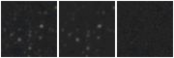Missing file AGC229177-custom-montage-W1W2.png