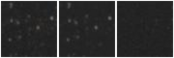 Missing file AGC229288-custom-montage-W1W2.png