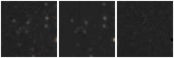 Missing file AGC749232-custom-montage-W1W2.png