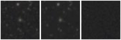 Missing file PGC039803-custom-montage-W1W2.png