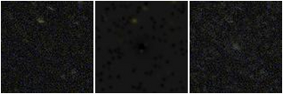 Missing file PGC039838-custom-montage-FUVNUV.png