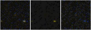 Missing file PGC039928-custom-montage-FUVNUV.png