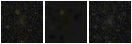 Missing file PGC040046-custom-montage-FUVNUV.png