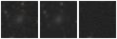 Missing file PGC040058-custom-montage-W1W2.png