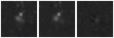 Missing file PGC040100-custom-montage-W1W2.png