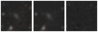 Missing file PGC040107-custom-montage-W1W2.png