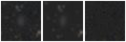Missing file PGC040109-custom-montage-W1W2.png