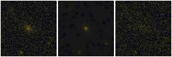 Missing file PGC040141-custom-montage-FUVNUV.png