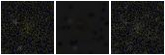 Missing file PGC040235-custom-montage-FUVNUV.png