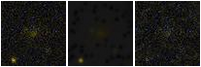 Missing file PGC040274-custom-montage-FUVNUV.png