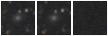 Missing file PGC040274-custom-montage-W1W2.png