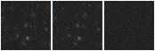 Missing file PGC1166504-custom-montage-W1W2.png