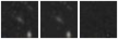 Missing file PGC1292491-custom-montage-W1W2.png