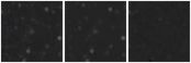 Missing file PGC2429780-custom-montage-W1W2.png