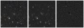 Missing file SDSSJ122054.58+032409.7-custom-montage-W1W2.png