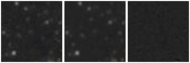 Missing file AGC227889-custom-montage-W1W2.png