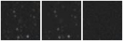 Missing file AGC229290-custom-montage-W1W2.png