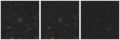 Missing file EVCC0504-custom-montage-W1W2.png