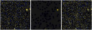 Missing file EVCC0658-custom-montage-FUVNUV.png