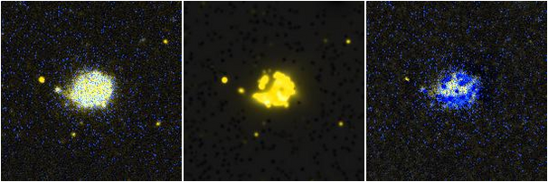 Missing file NGC4390-custom-montage-FUVNUV.png