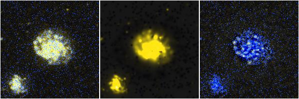 Missing file NGC4430-custom-montage-FUVNUV.png