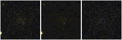 Missing file PGC040338-custom-montage-FUVNUV.png