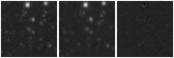 Missing file PGC040388-custom-montage-W1W2.png