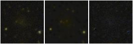 Missing file PGC040434-custom-montage-FUVNUV.png